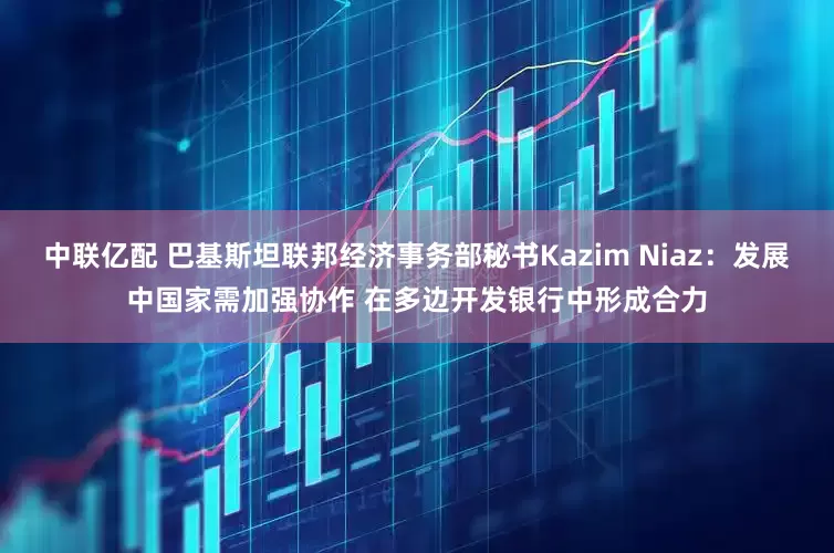 中联亿配 巴基斯坦联邦经济事务部秘书Kazim Niaz：发展中国家需加强协作 在多边开发银行中形成合力
