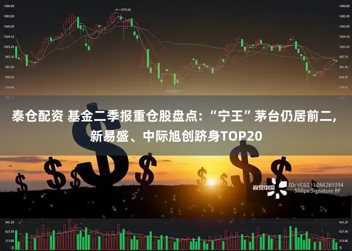 泰仓配资 基金二季报重仓股盘点: “宁王”茅台仍居前二, 新易盛、中际旭创跻身TOP20