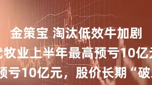 金策宝 淘汰低效牛加剧亏损？现代牧业上半年最高预亏10亿元，股价长期“破发”