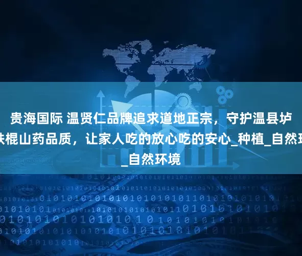 贵海国际 温贤仁品牌追求道地正宗，守护温县垆土铁棍山药品质，让家人吃的放心吃的安心_种植_自然环境