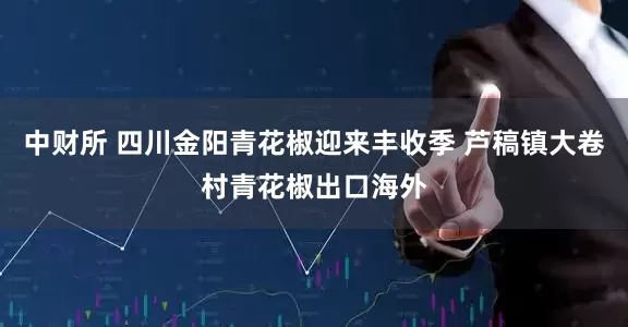 中财所 四川金阳青花椒迎来丰收季 芦稿镇大卷村青花椒出口海外