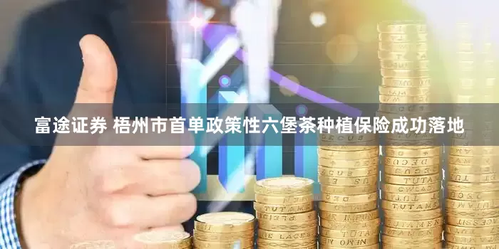 富途证券 梧州市首单政策性六堡茶种植保险成功落地