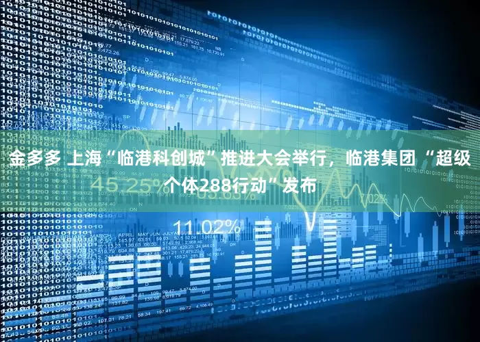 金多多 上海“临港科创城”推进大会举行，临港集团 “超级个体288行动”发布