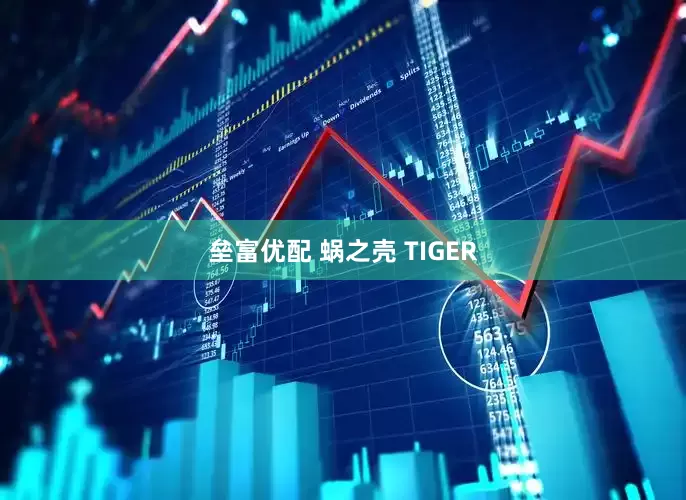 垒富优配 蜗之壳 TIGER